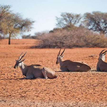 Kalahari Anib Campsite Hardap 外观 照片