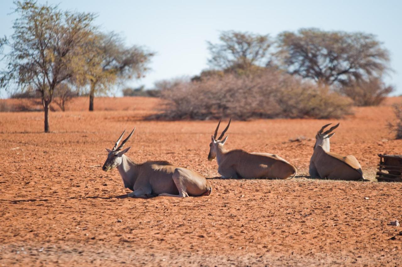 Kalahari Anib Campsite Hardap 外观 照片